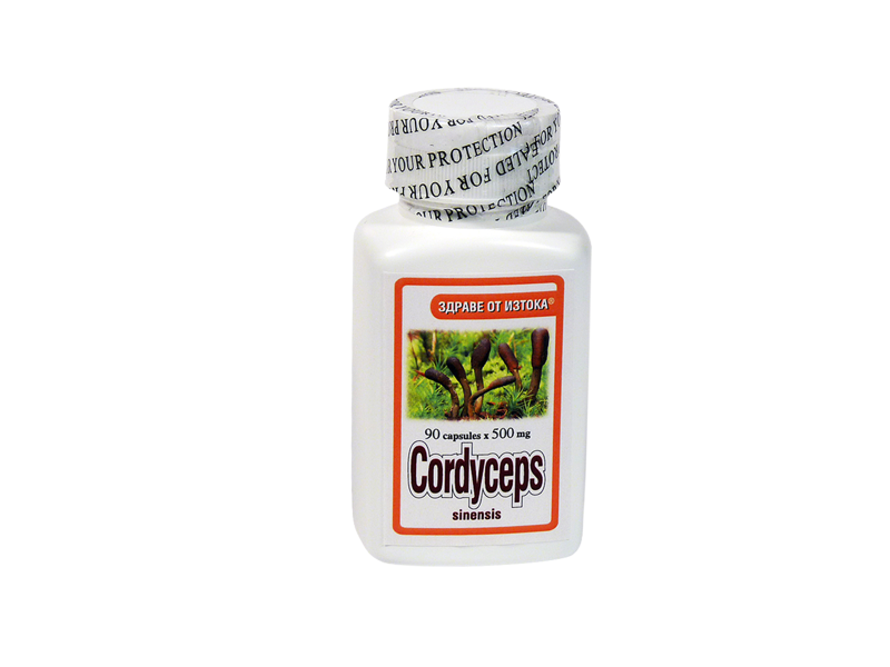 CORDYCEPS 